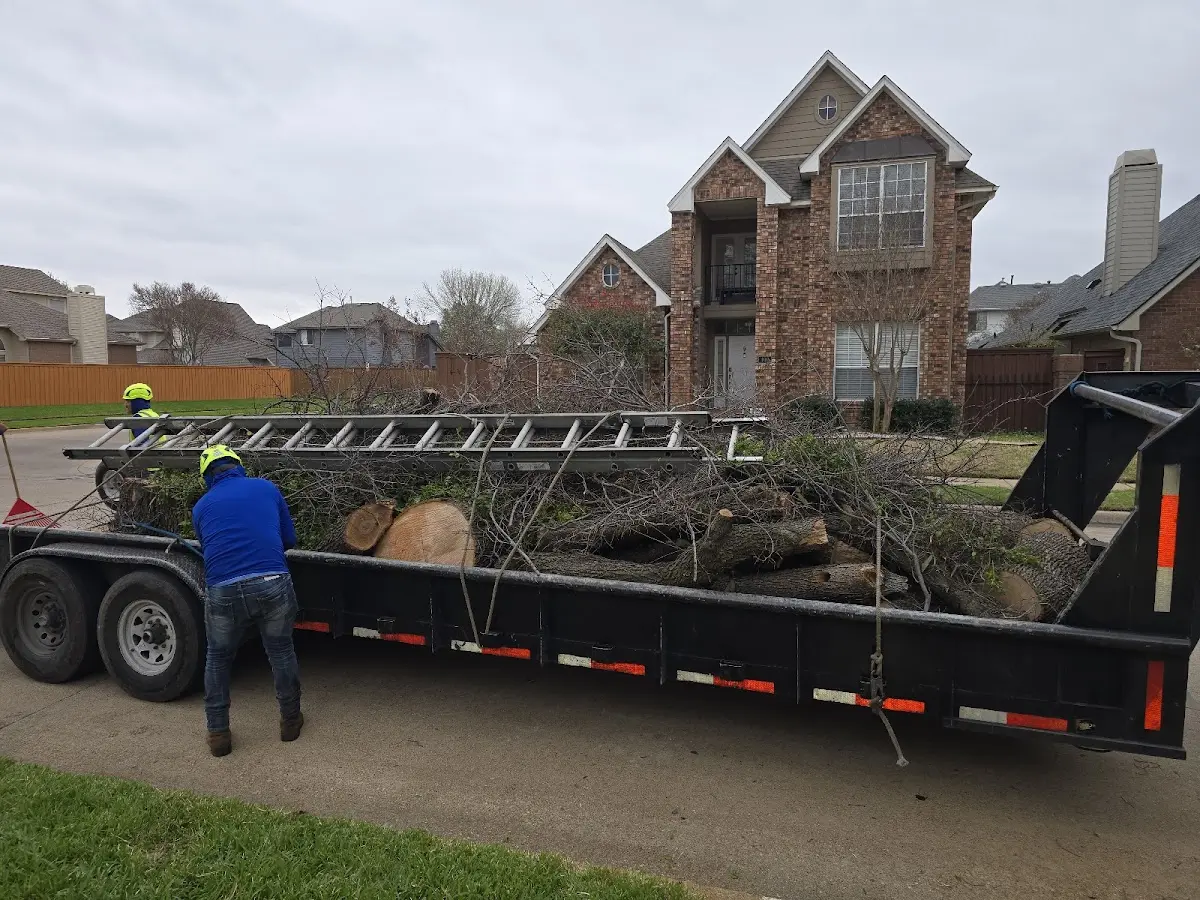 Expert Tree Pest Control with proper safety equipment in Mc Cool